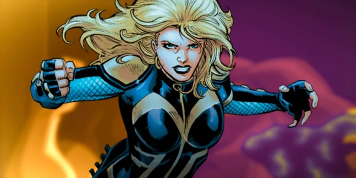 black canary All DC Comics Superheroes